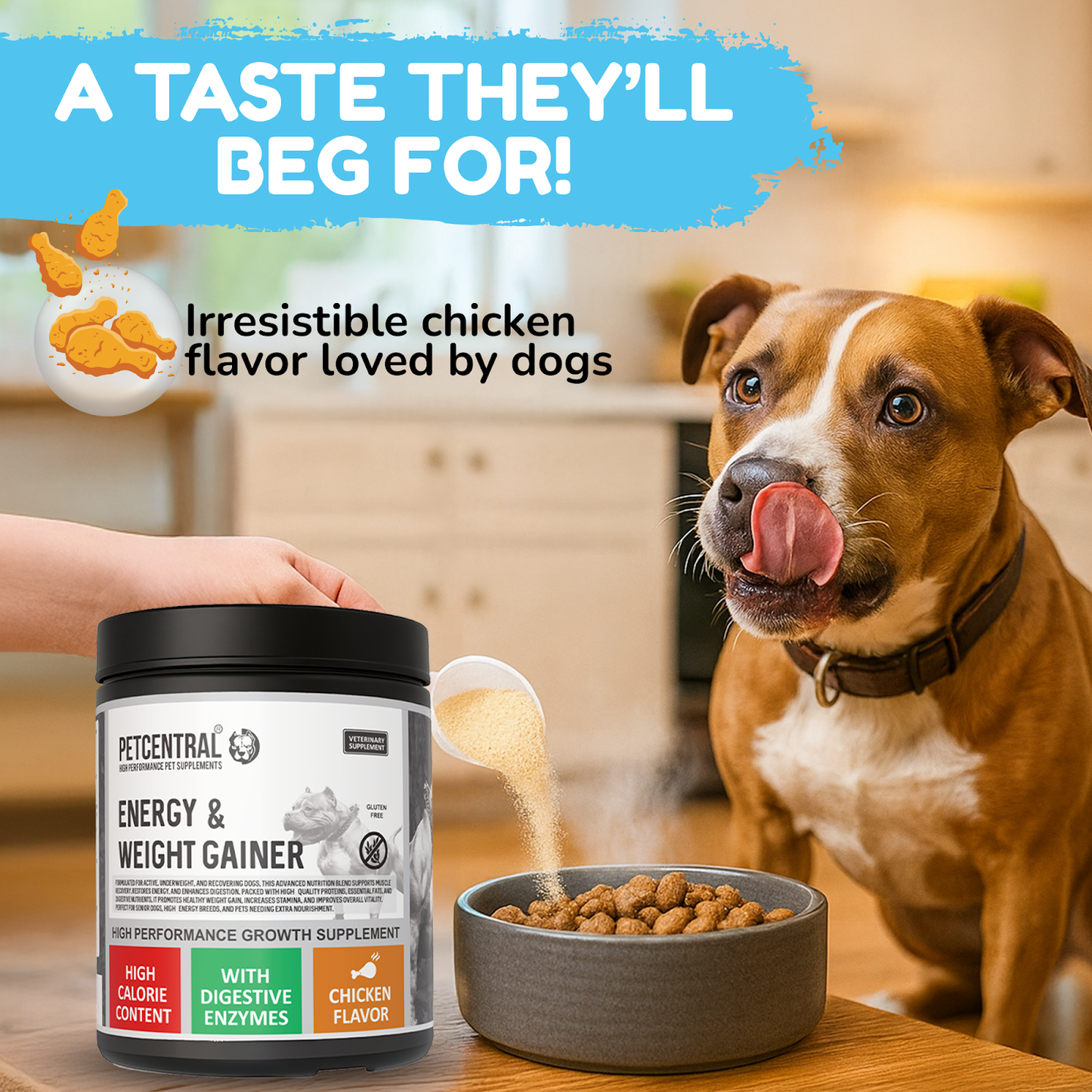 Noventis PETCENTRAL Energy & Weight Gainer for Dogs with high-calorie content, featuring digestive enzymes, and chicken flavor, highly palatable