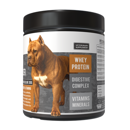 Petcentral® High-Protein Muscle Builder for Dogs – Strength & Recovery Support