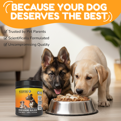 PETCENTRAL® Head & Bone Builder – Calcium & Mineral Supplement for Dogs