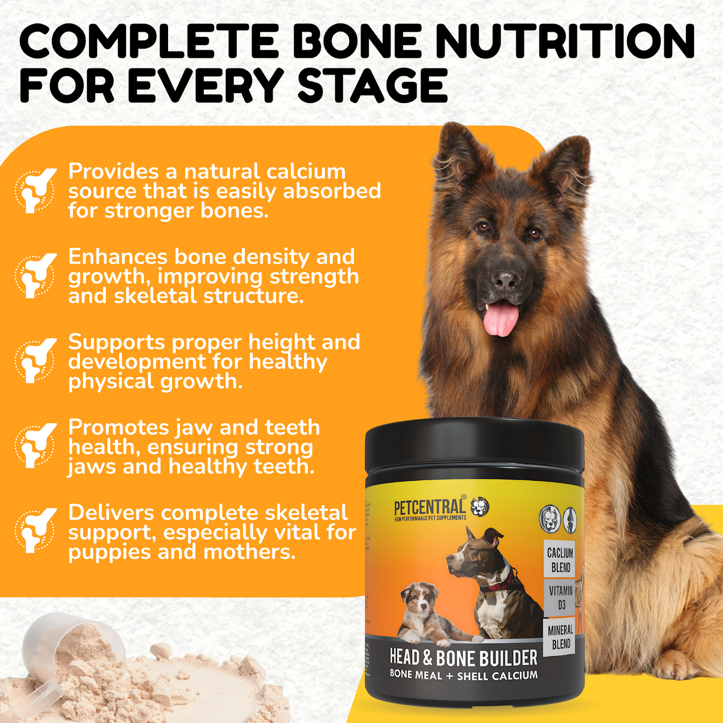 PETCENTRAL® Head & Bone Builder – Calcium & Mineral Supplement for Dogs