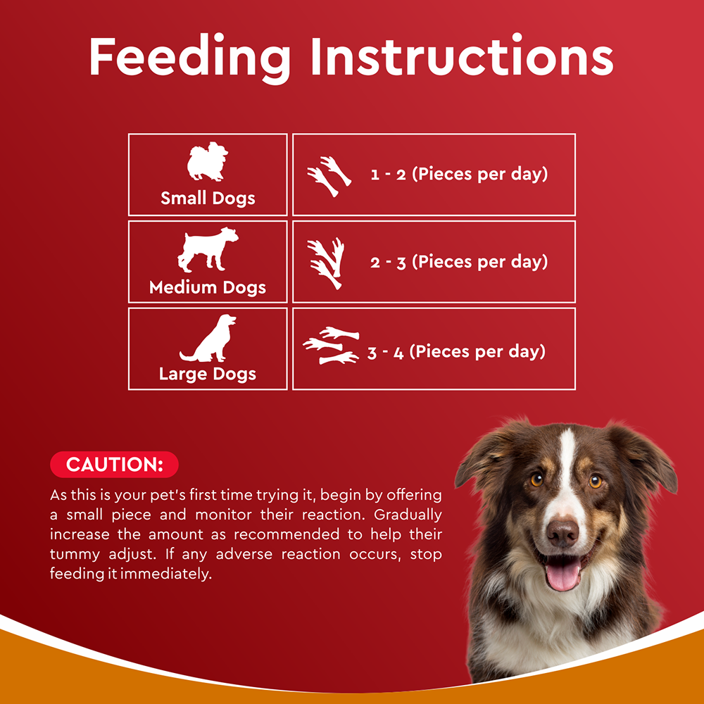 Drools Dehydrated Real Chicken Feet Chews Treat for Dogs