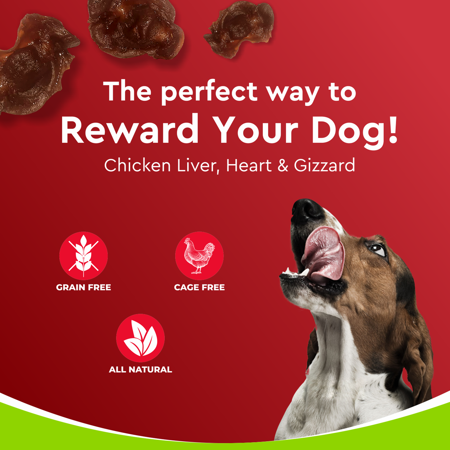 Drools Dehydrated Real Chicken Giblets Chews Treat for Dogs