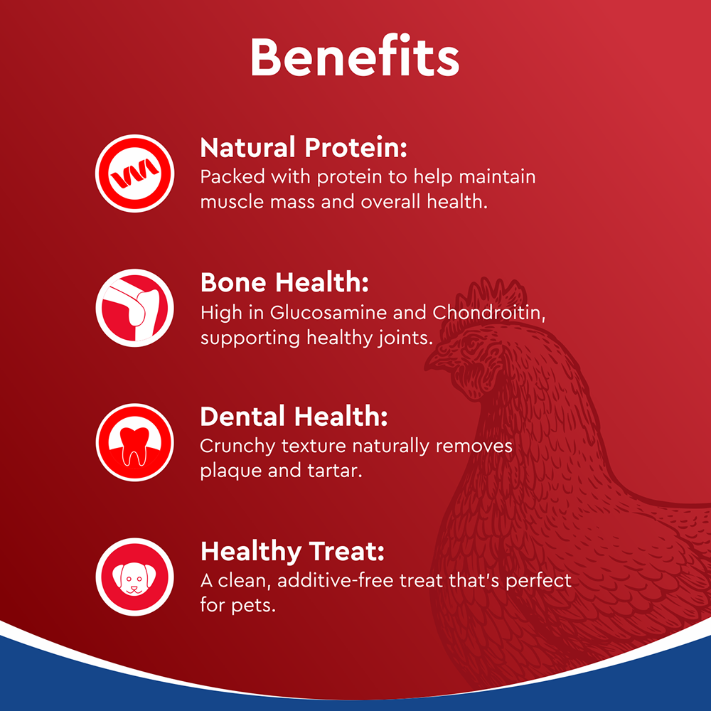 Drools Dehydrated Real Chicken Necks Chews Treat for Dogs