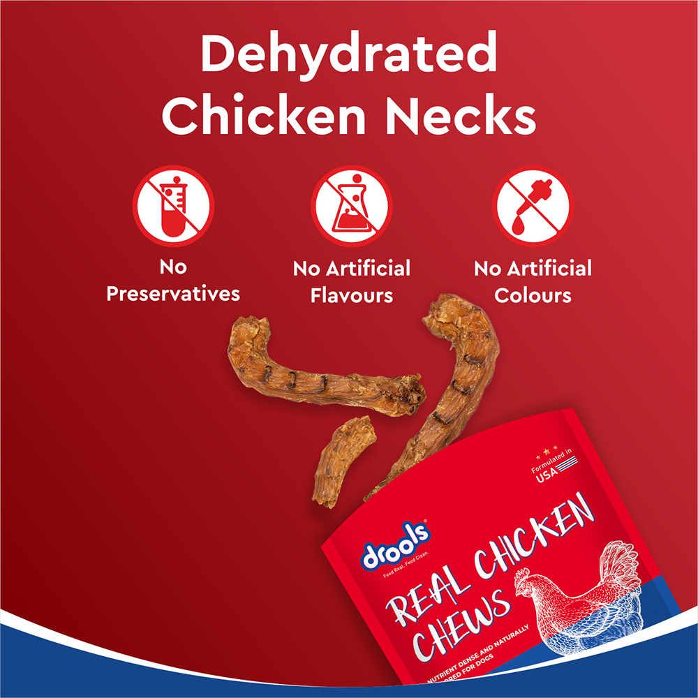 Drools Dehydrated Real Chicken Necks Chews Treat for Dogs