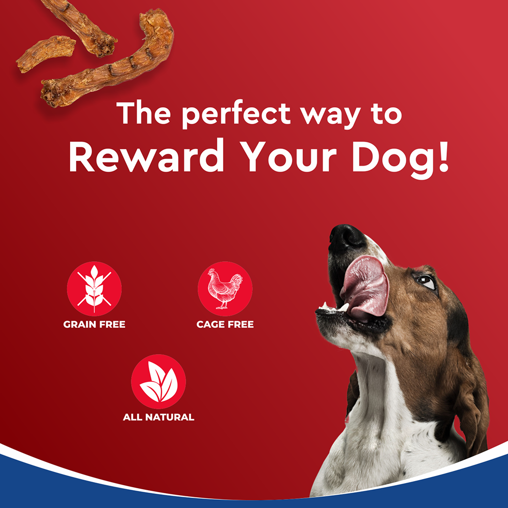 Drools Dehydrated Real Chicken Necks Chews Treat for Dogs