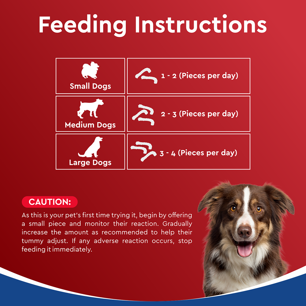 Drools Dehydrated Real Chicken Necks Chews Treat for Dogs