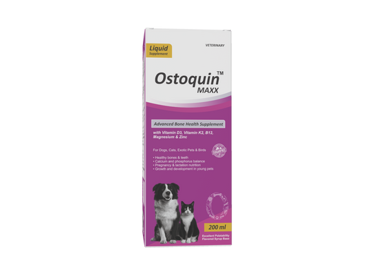 Ostoquin Maxx Advanced Bone Health Supplement - 200 ml