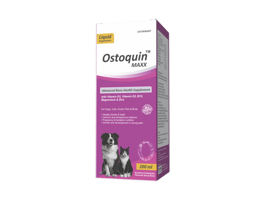 Ostoquin Maxx Advanced Bone Health Supplement - 200 ml