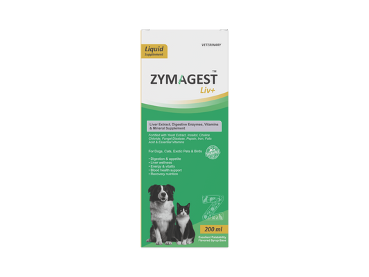 Zymagest Liv+ Digestive & Liver Supplement - 200 ml