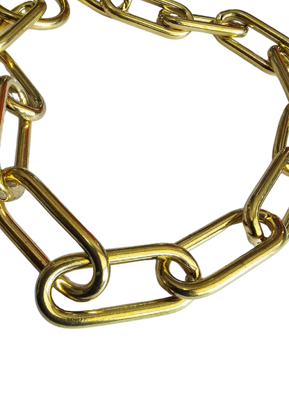 PETCENTRAL Brass Long Link Choke Chain for Dogs