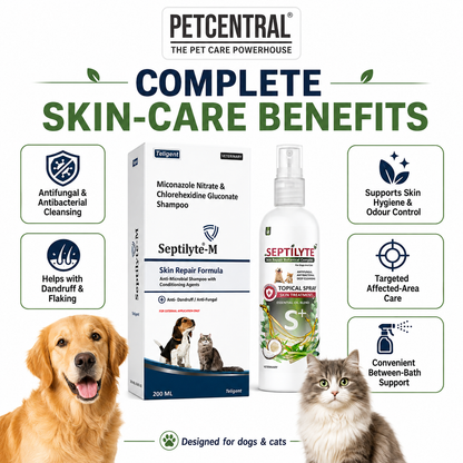 Septilyte Complete Skin Care Combo for Dogs & Cats | Septilyte-M Miconazole 1% + Chlorhexidine 2% Medicated Shampoo 200ml + Botanical Skin Treatment Spray 200ml | Pack of 2