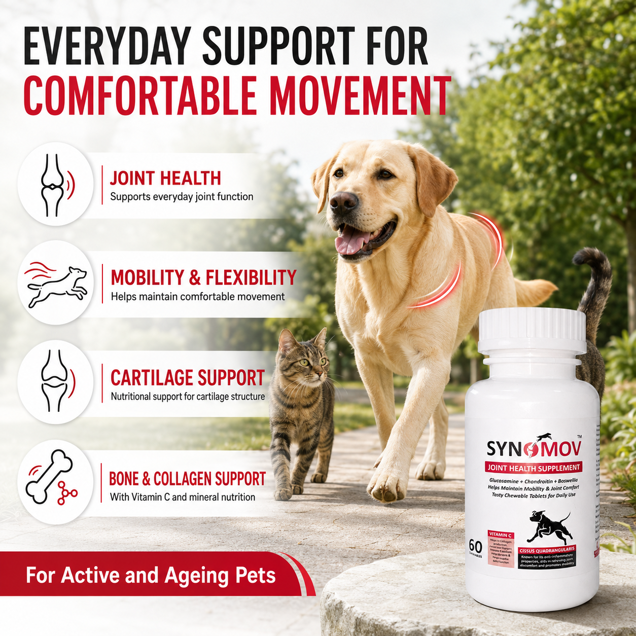Synomov Joint Health Chewables for Dogs & Cats - 60 chewable tablets