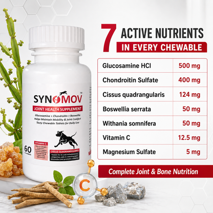 Synomov Joint Health Chewables for Dogs & Cats - 60 chewable tablets