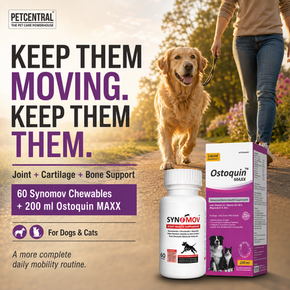 Pet Central Joint & Bone Mobility Combo for Dogs & Cats | Synomov Joint Health 60 Chewable Tablets + Ostoquin Maxx Bone Health Supplement 200 ml