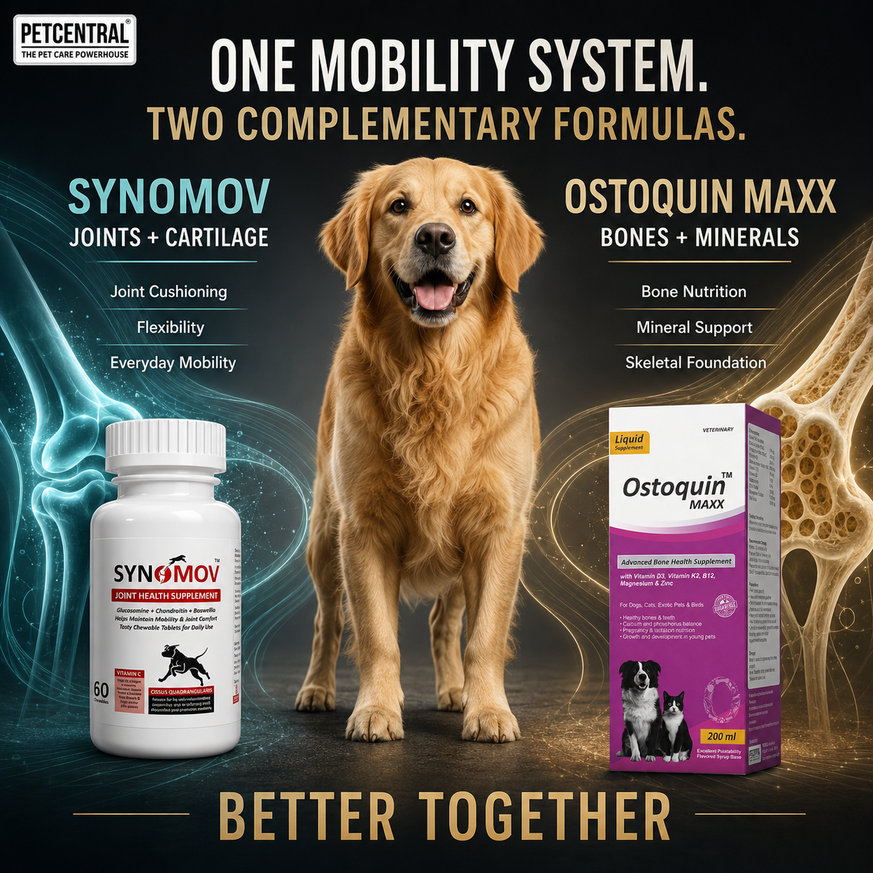 Pet Central Joint & Bone Mobility Combo for Dogs & Cats | Synomov Joint Health 60 Chewable Tablets + Ostoquin Maxx Bone Health Supplement 200 ml