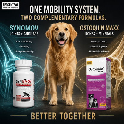 Pet Central Joint & Bone Mobility Combo for Dogs & Cats | Synomov Joint Health 60 Chewable Tablets + Ostoquin Maxx Bone Health Supplement 200 ml