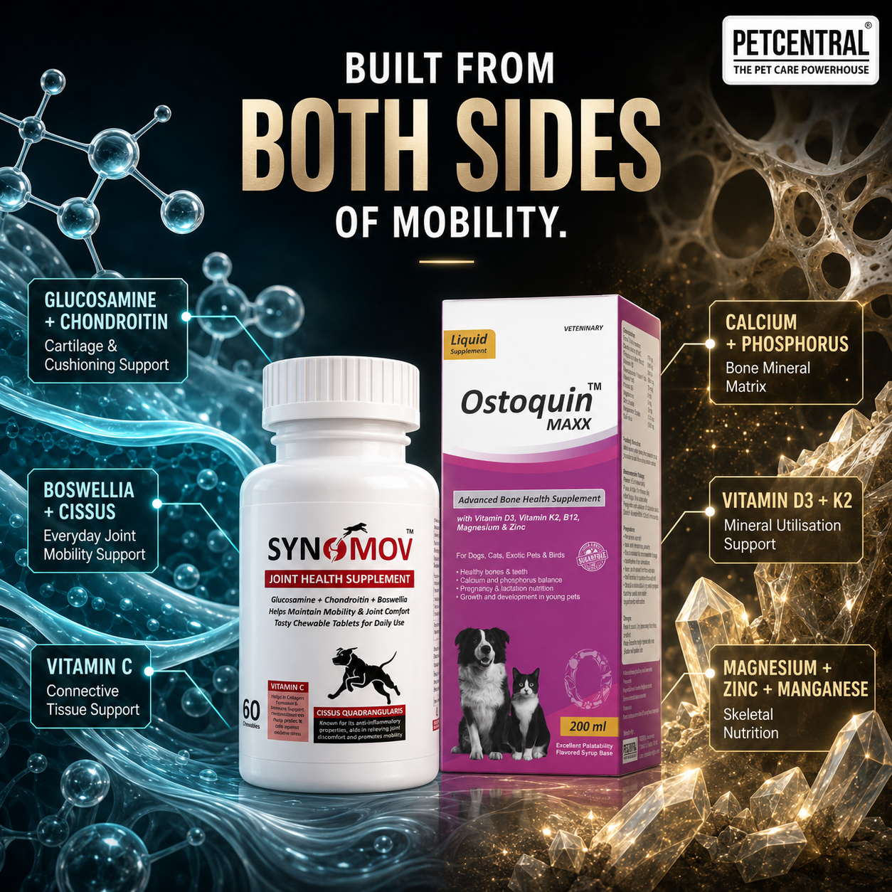 Pet Central Joint & Bone Mobility Combo for Dogs & Cats | Synomov Joint Health 60 Chewable Tablets + Ostoquin Maxx Bone Health Supplement 200 ml