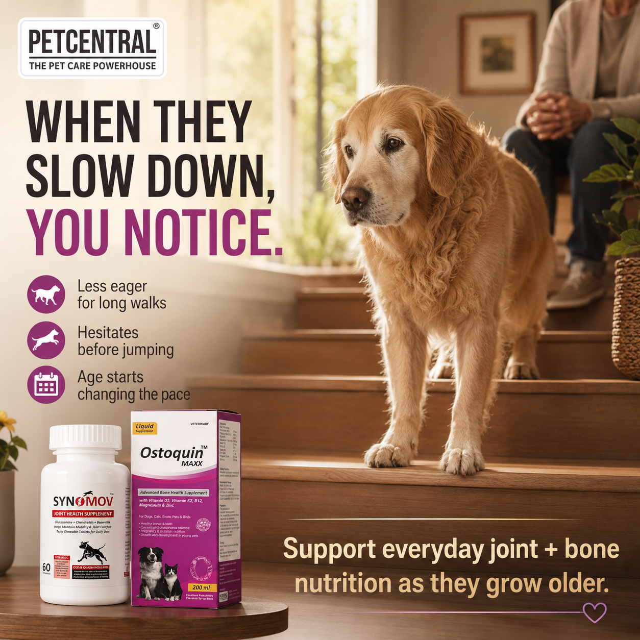 Pet Central Joint & Bone Mobility Combo for Dogs & Cats | Synomov Joint Health 60 Chewable Tablets + Ostoquin Maxx Bone Health Supplement 200 ml