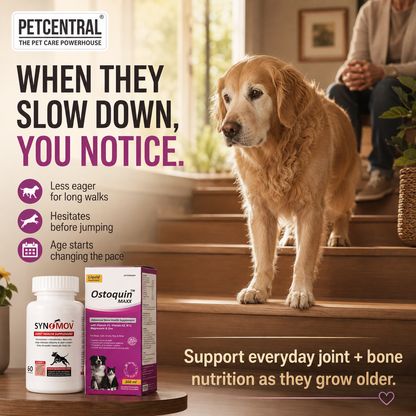 Pet Central Joint & Bone Mobility Combo for Dogs & Cats | Synomov Joint Health 60 Chewable Tablets + Ostoquin Maxx Bone Health Supplement 200 ml