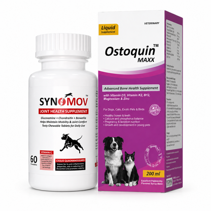 Pet Central Joint & Bone Mobility Combo for Dogs & Cats | Synomov Joint Health 60 Chewable Tablets + Ostoquin Maxx Bone Health Supplement 200 ml
