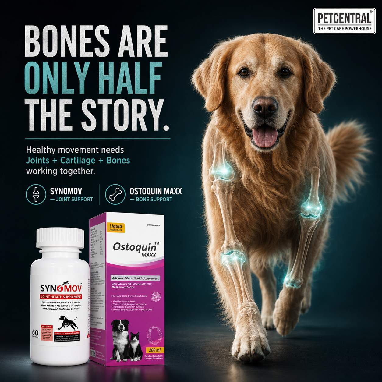 Pet Central Joint & Bone Mobility Combo for Dogs & Cats | Synomov Joint Health 60 Chewable Tablets + Ostoquin Maxx Bone Health Supplement 200 ml