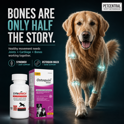 Pet Central Joint & Bone Mobility Combo for Dogs & Cats | Synomov Joint Health 60 Chewable Tablets + Ostoquin Maxx Bone Health Supplement 200 ml