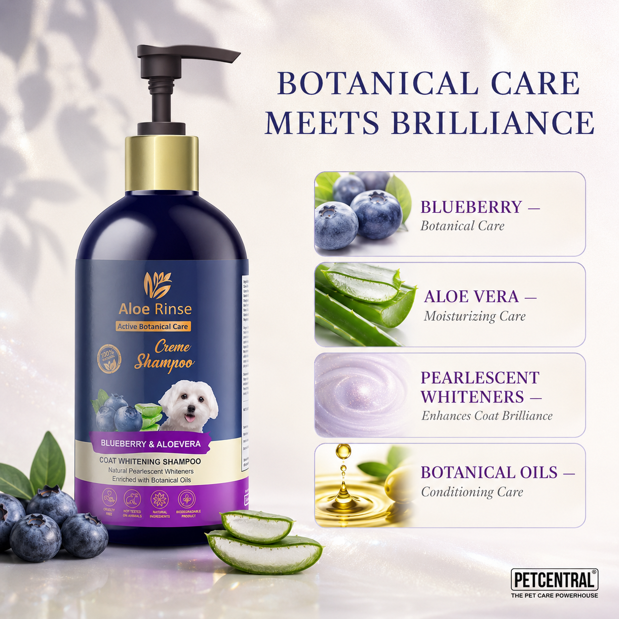 Aloe Rinse Blueberry & Aloe Vera Coat Whitening Shampoo - 300 ml