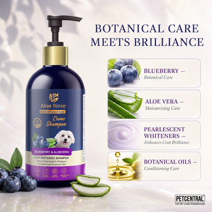Aloe Rinse Blueberry & Aloe Vera Coat Whitening Shampoo - 300 ml