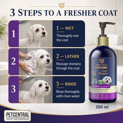 Aloe Rinse Blueberry & Aloe Vera Coat Whitening Shampoo - 300 ml