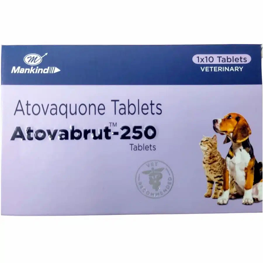 Atovaquone Atovabrut tablets 250mg for dogs & cats, 10 tabs