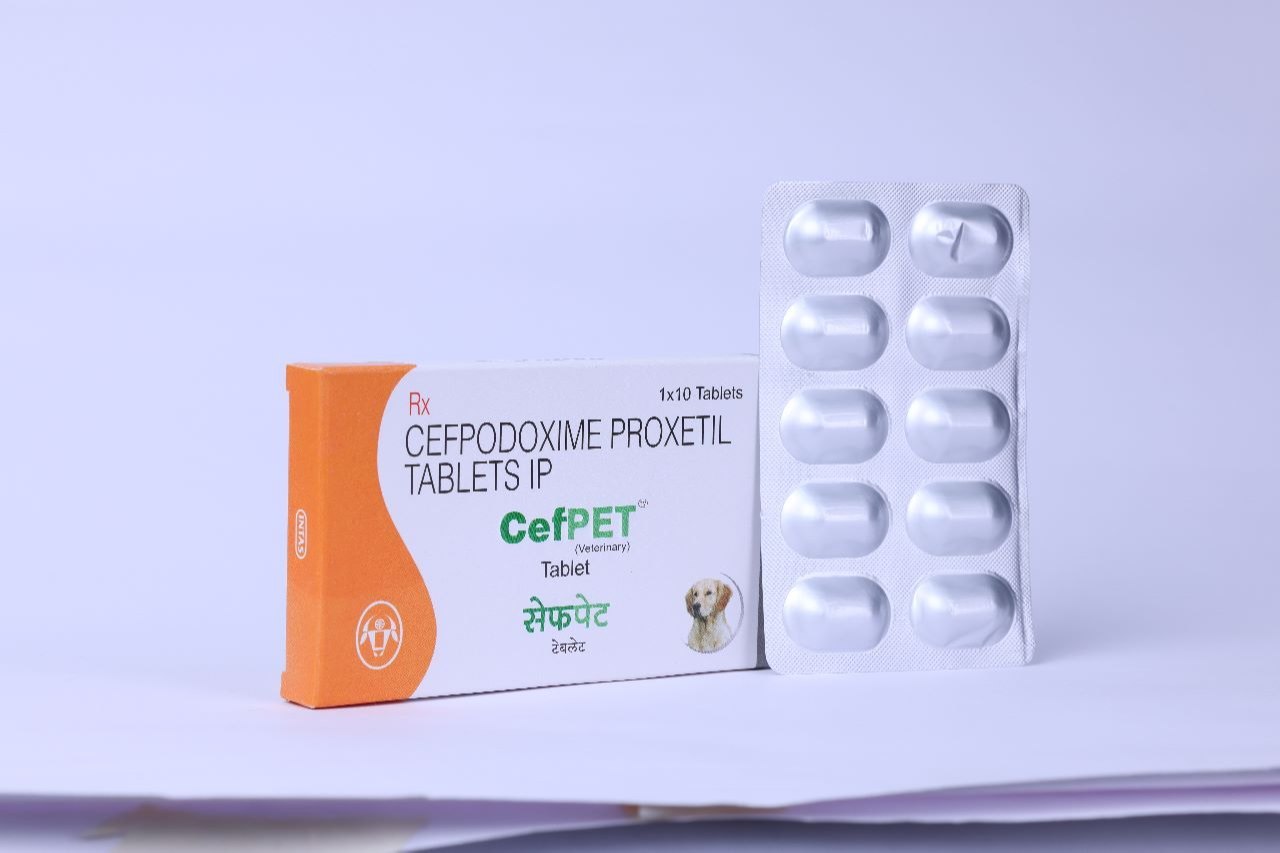 CEFPET Tablets - Pet Central