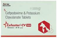 Cefastar CV Tablets - Pet Central