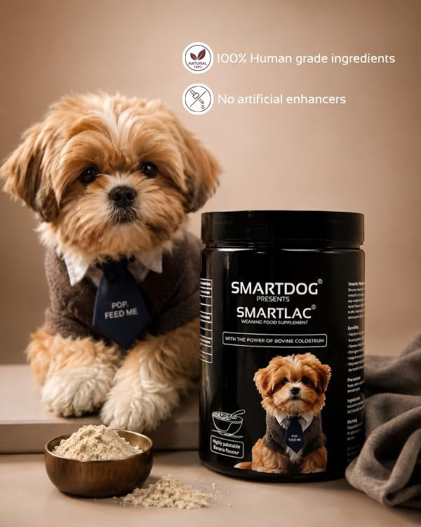 SMARTDOG SmartLac Puppy Weaning Food Supplement, Banana Flavour, 500 g