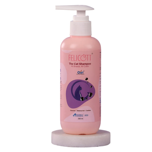 Intas Felicott Cat Shampoo