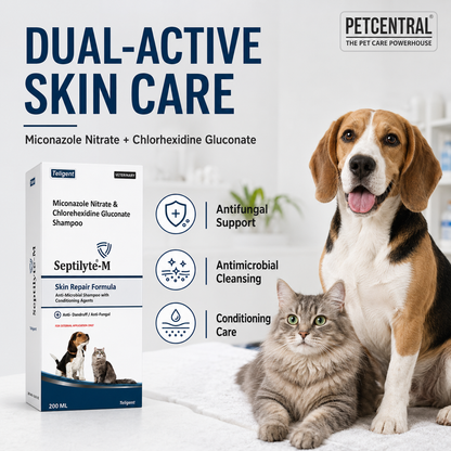 Septilyte-M Miconazole & Chlorhexidine Pet Shampoo