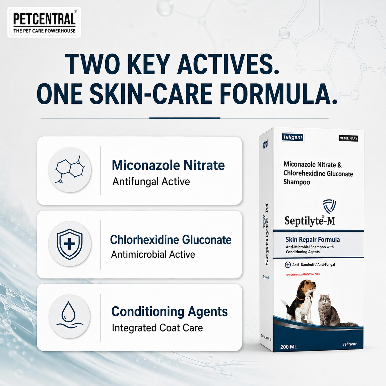 Septilyte-M Miconazole & Chlorhexidine Pet Shampoo