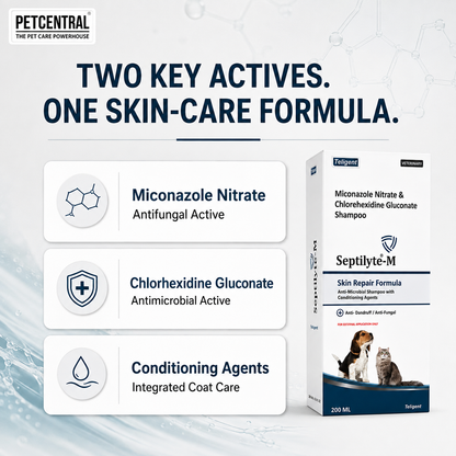Septilyte-M Miconazole & Chlorhexidine Pet Shampoo