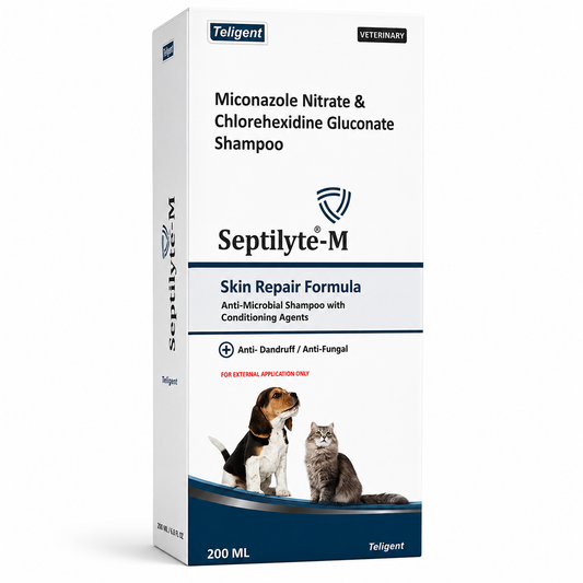 Septilyte-M Miconazole & Chlorhexidine Pet Shampoo
