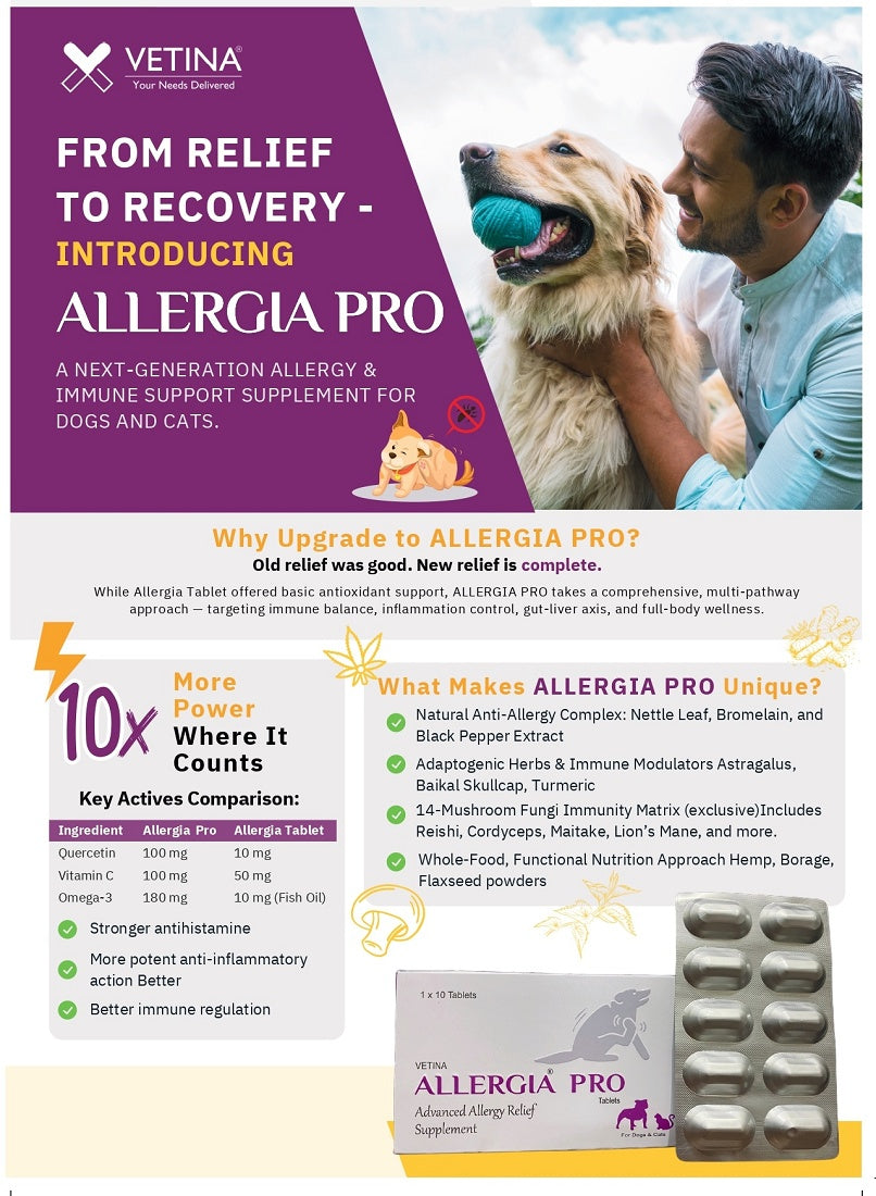 Vetina Allergia Pro Allergy Relief Tablet for Dogs & Cats | Quercetin, Omega-3, Vitamins A C E | 30 Tablets