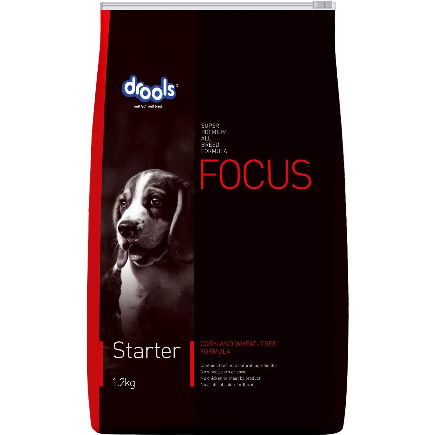 Focus Starter - Pet Central