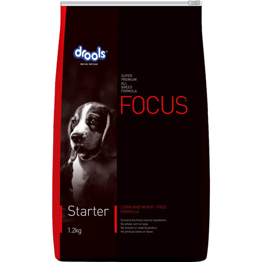 Focus Starter - Pet Central