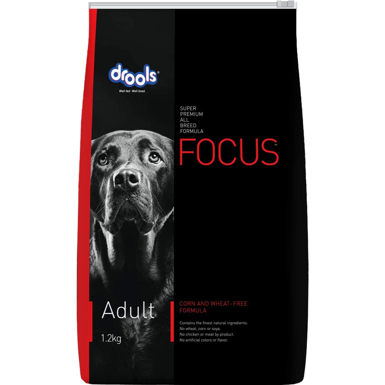 Focus Adult - Pet Central