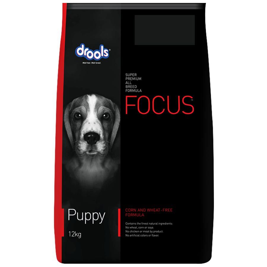 Focus Puppy - Pet Central