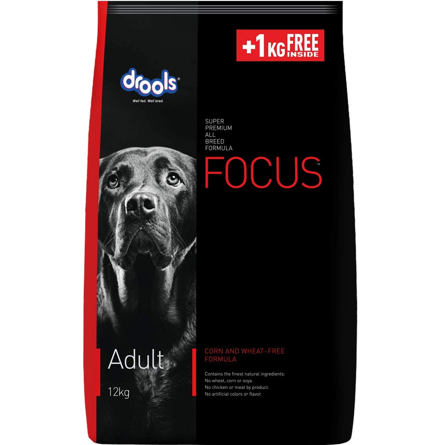 Focus Adult - Pet Central