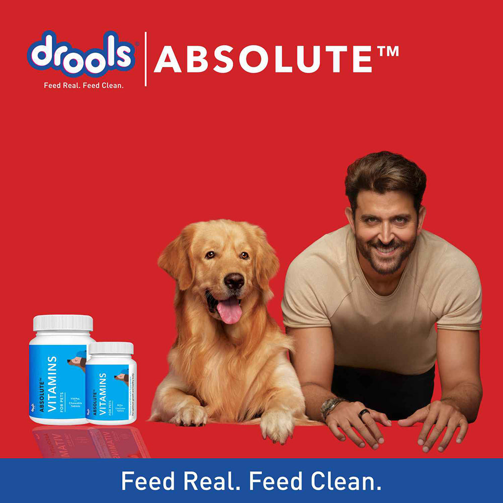 Absolute Vitamin Tablets - Pet Central