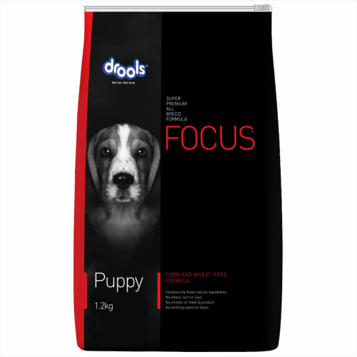 Focus Puppy - Pet Central