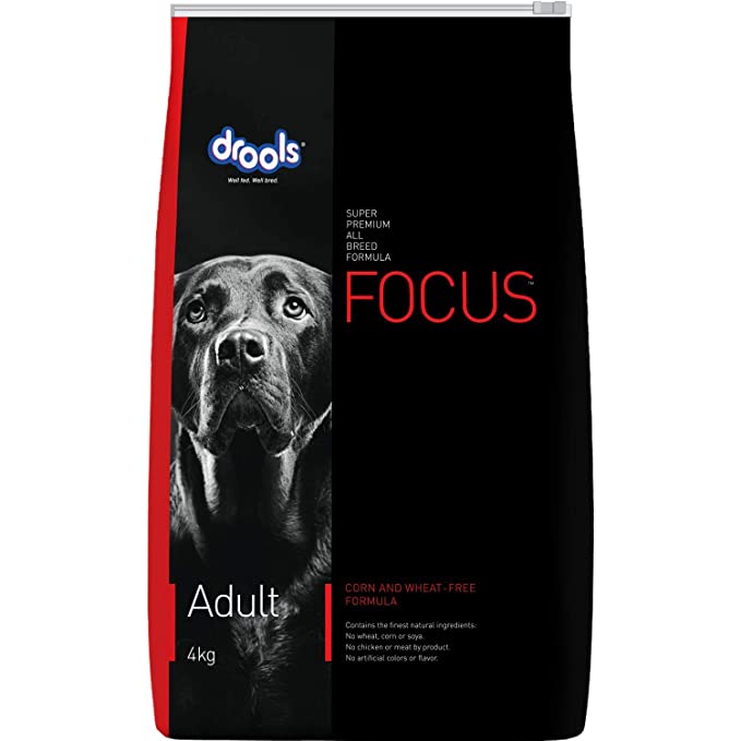 Focus Adult - Pet Central