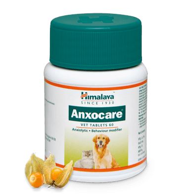Anxocare Vet Tablets 60 - Pet Central