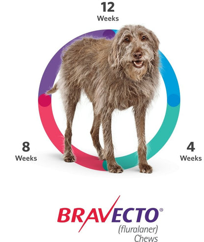 Bravecto 500mg TABLET for Medium Dogs 10-20kg - Pet Central