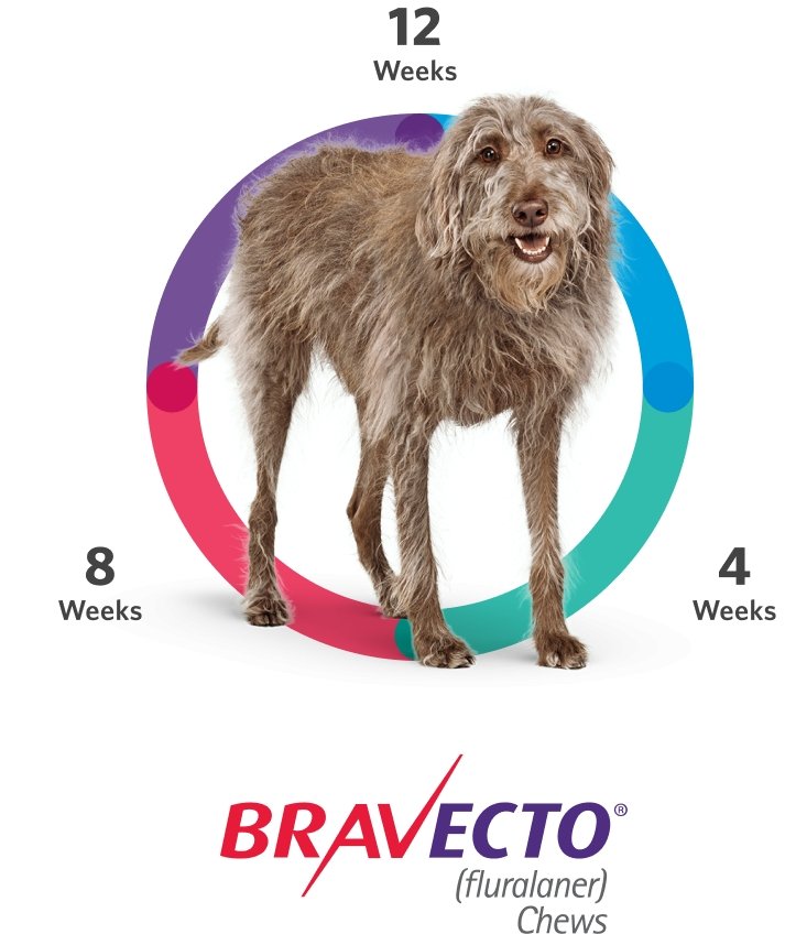 Bravecto1400mg TABLET for Giant Dogs 40-56kg - Pet Central